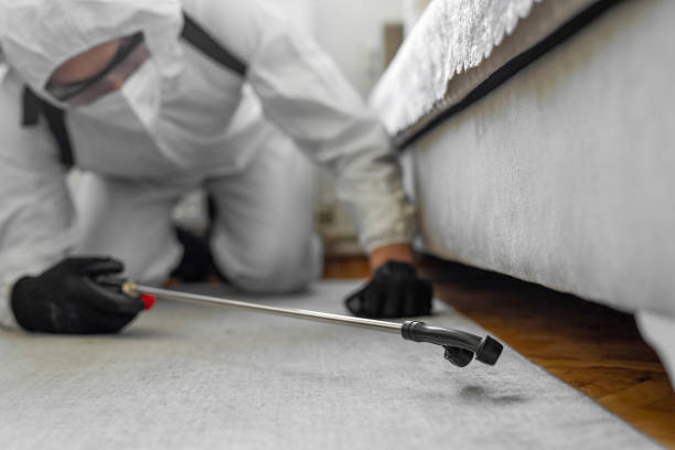 Professional Pest Control technician working in Park County County, CO